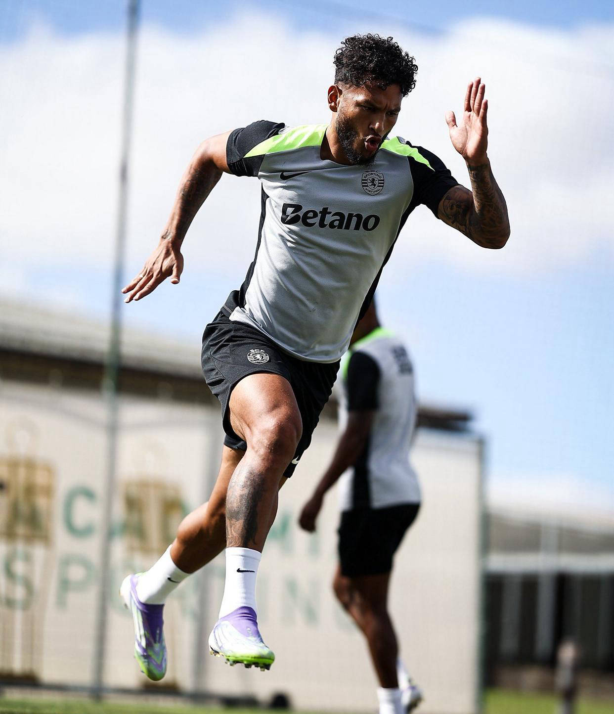 关于国际比赛日葡超焦点战，阿森纳刷新队史纪录，赛场秩序良好，纪律约束更严格的信息-竞博体育